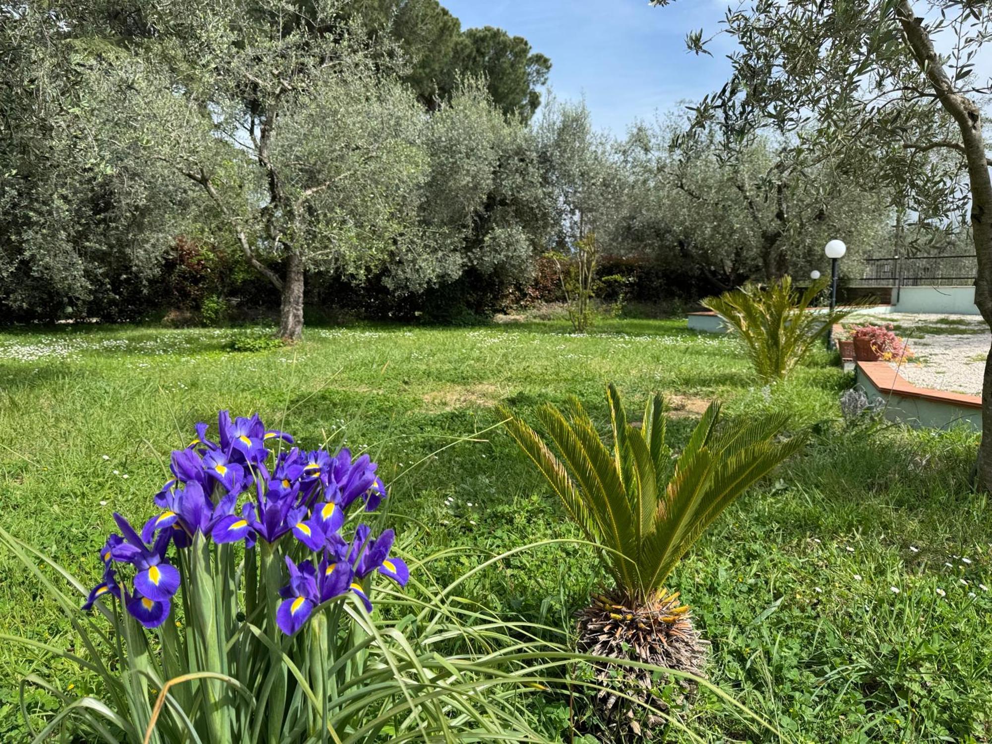 La Piccola Provenza Villa Fiano Romano Dış mekan fotoğraf